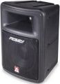 PEAVEY Impulse 100P